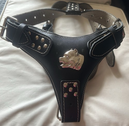 Gear black leather dog - gear,
