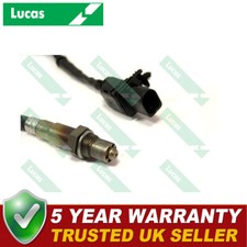 Lucas left lambda oxygen - left,