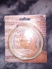 Burswood Acoustic STEEL