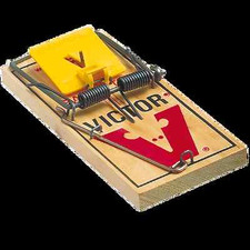 Rat Traps Spring Catching Heavy Duty Trap Easy Bait Pest + PRE BAITED!!!!