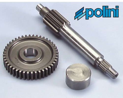 Polini gear kit for - 13/44,