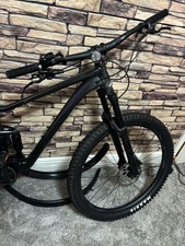 Giant Black Large Frame 2025