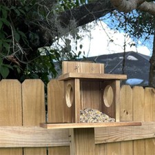 Weatherproof Wood Squirrel