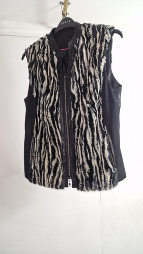 Evans women zebra print - evans,