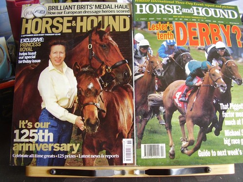 Job lot horse - x, hound