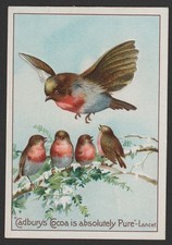 Vintage Cadbury's Robins Advertising Card