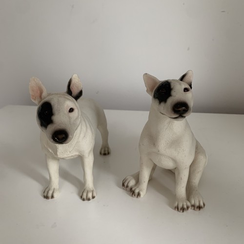 Leonardo english bull terrier - leonardo,