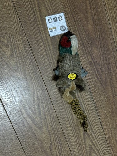 Happy pet empty nester - pet,