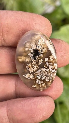 Plume agate cabochon jewelry - plume,