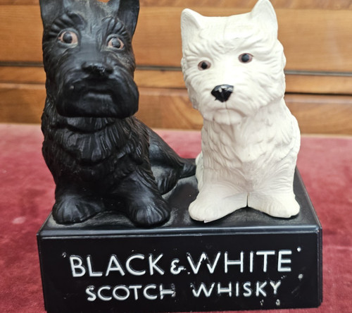 Black white buchanan dogs - white,
