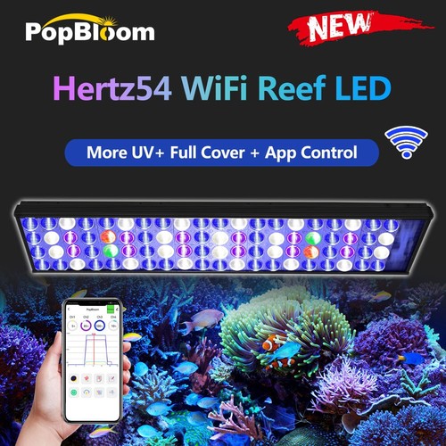 Popbloom h54 wifi marine - popbloom, tank
