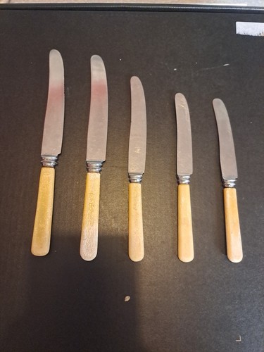 Stainless steel dinner - 6,