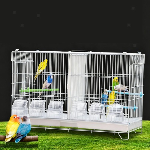 Parrot cage bird - cage,