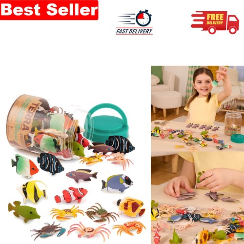 Educational mini ocean - educational,