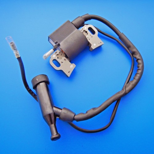Ignition coil spark - ignition, plug