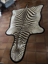 Real Zebra Skin Rug 100%