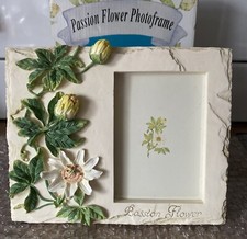 The Leonardo Collection