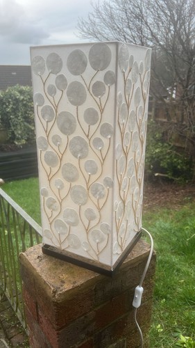 Large unusual capiz shell - large,