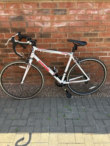 Bicycle barracuda men - men's, road