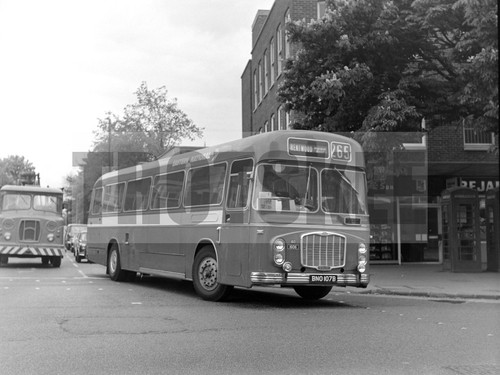 Large negative eastern - negative,