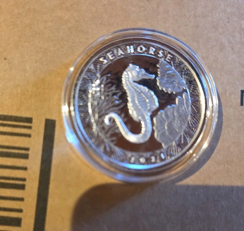 1oz 999 fine silver 2021 - silver,
