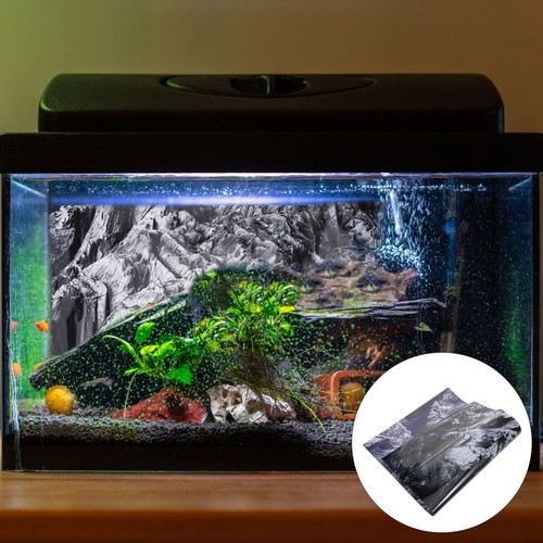 Fish tank background - fish,