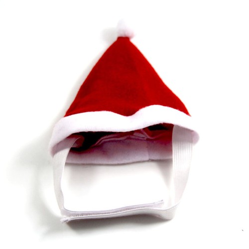 Pet clothing cats holiday - pet,