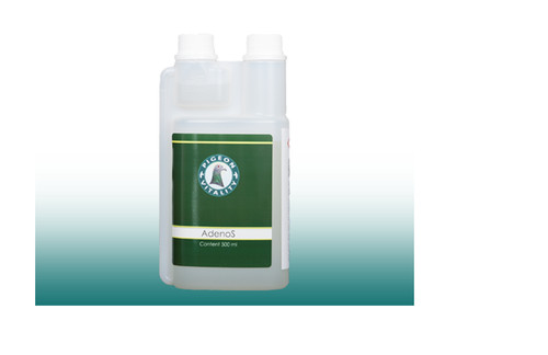 Pigeon vitality adenos for - vitality,