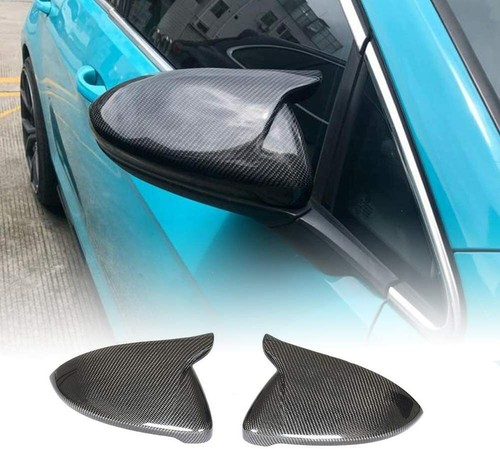 Carbon fibre wing - carbon,