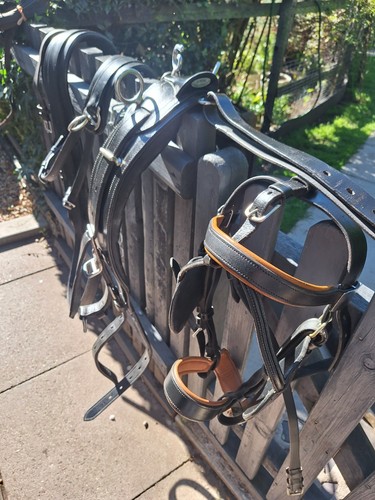 Ideal equestrian english black - ideal,