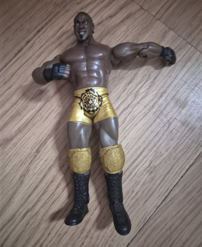 Wrestling action figure - action,