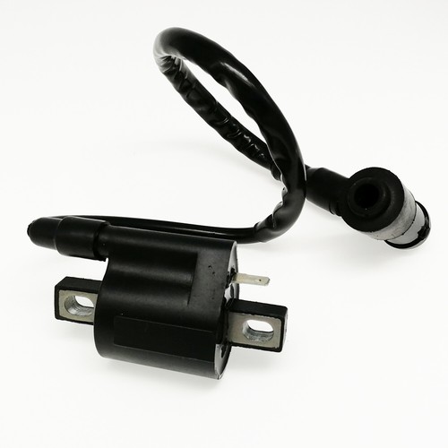 Ignition coil with spark plug