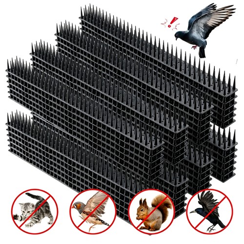 10m 30m bird - 30m,