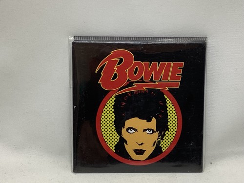 David bowie pop art fridge - david,
