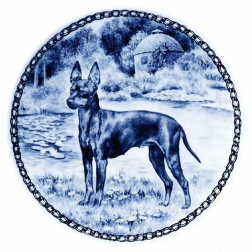 English toy terrier - english,