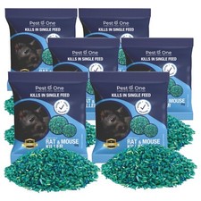 Professional rodent rat mice - professional,