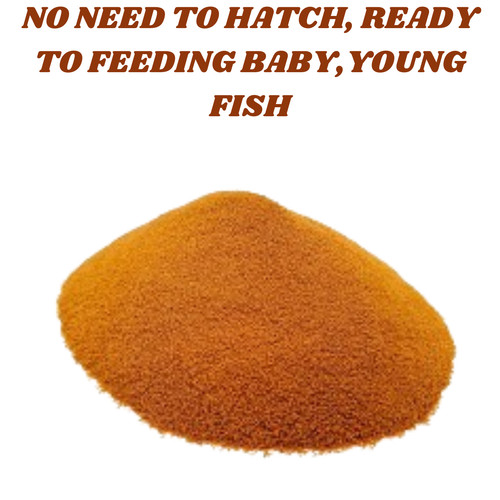 Decapsulated brine shrimp eggs - decapsulated,
