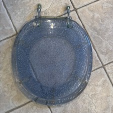 Vintage Clear Toilet Seat
