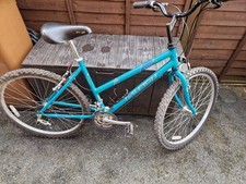 Raleigh Vixen Women's Mountain