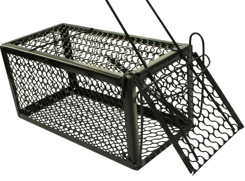 Rammento 24cm humane rat trap - rammento,