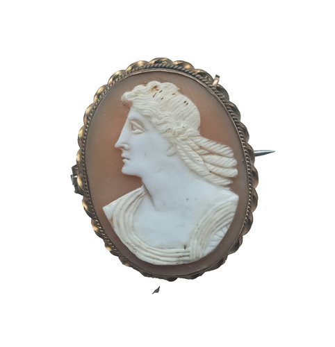 Antique victorian shell cameo - shell,