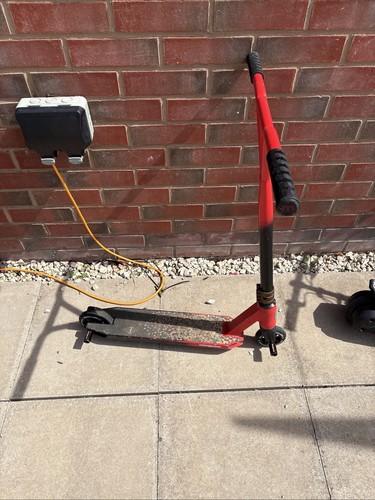 Mongoose stance - mongoose,