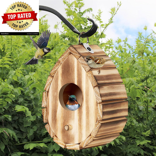 Hummingbird house wooden - hummingbird, house,wooden