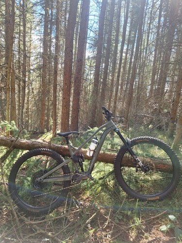Privateer 161 large - , 29er