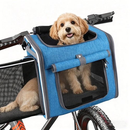 Dog cat bike - cat,