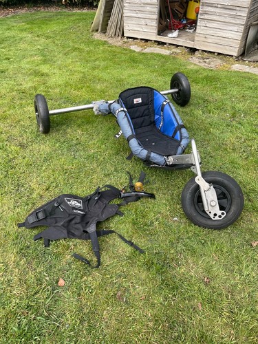 Custom kite buggy chameleon - kite, buggy,chameleon