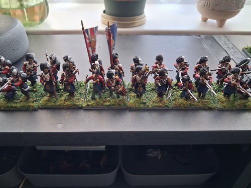 28mm british napoleonic - x,