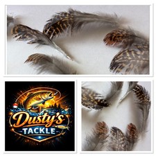 Grouse Feathers Neck Back 100