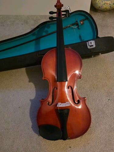 Hsinghai violin outfit - violin,