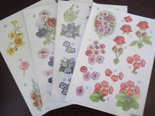 Flowers / Floral Die Cut
